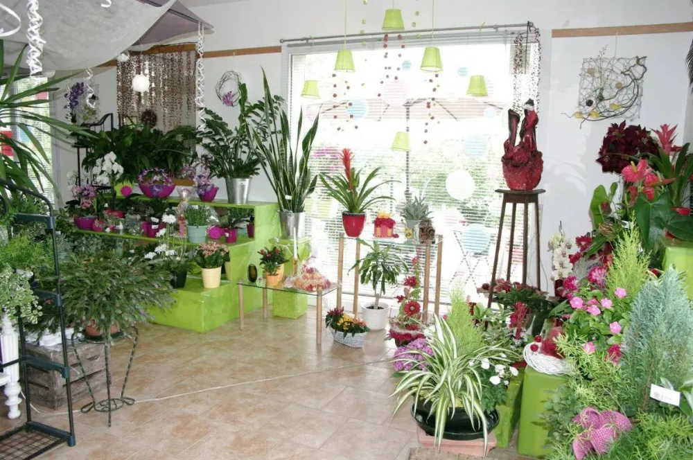 nos magasins (5)